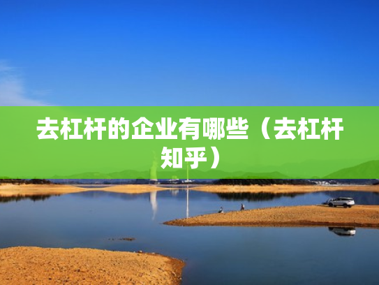 去杠杆的企业有哪些（去杠杆知乎）