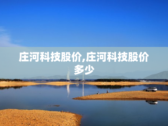庄河科技股价,庄河科技股价多少
