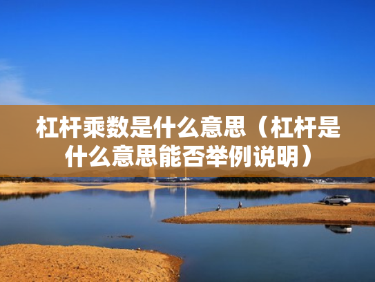 杠杆乘数是什么意思（杠杆是什么意思能否举例说明）