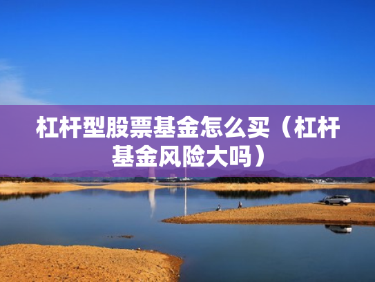 杠杆型股票基金怎么买（杠杆基金风险大吗）