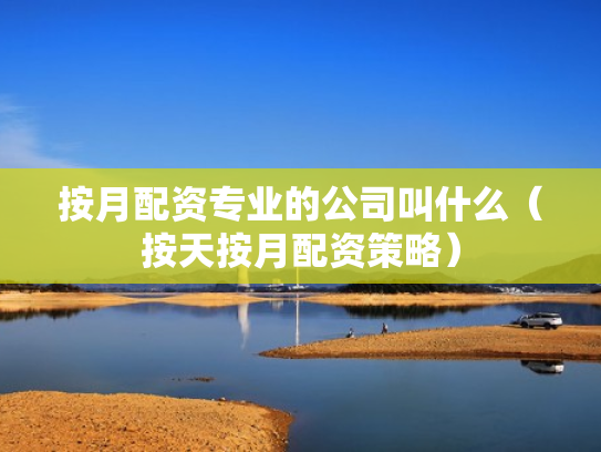 按月配资专业的公司叫什么（按天按月配资策略）