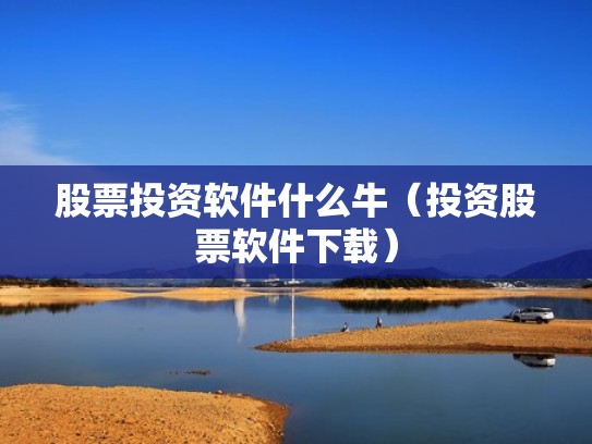 股票投资软件什么牛（投资股票软件下载）