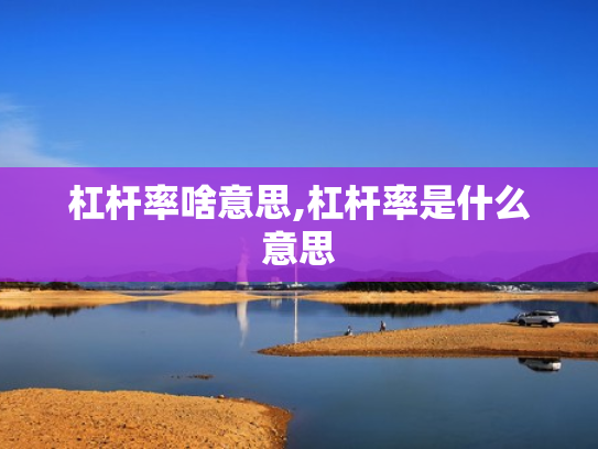 杠杆率啥意思,杠杆率是什么意思