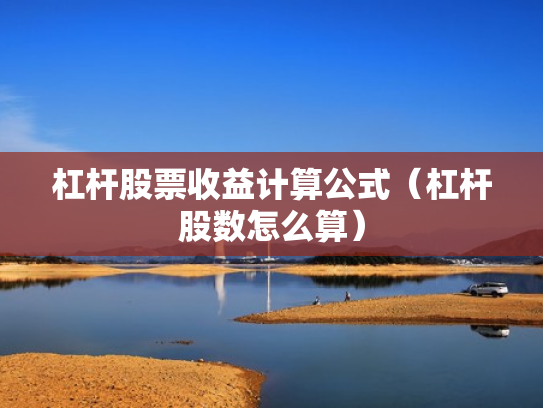 杠杆股票收益计算公式（杠杆股数怎么算）