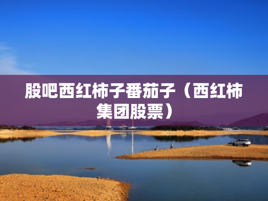 股吧西红柿子番茄子（西红柿集团股票）