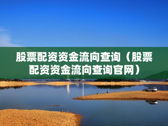 股票配资资金流向查询（股票配资资金流向查询官网）