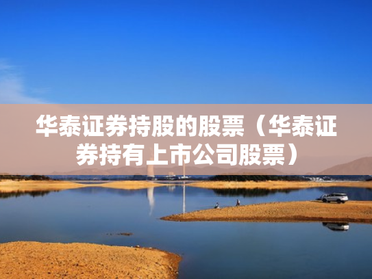 华泰证券持股的股票（华泰证券持有上市公司股票）