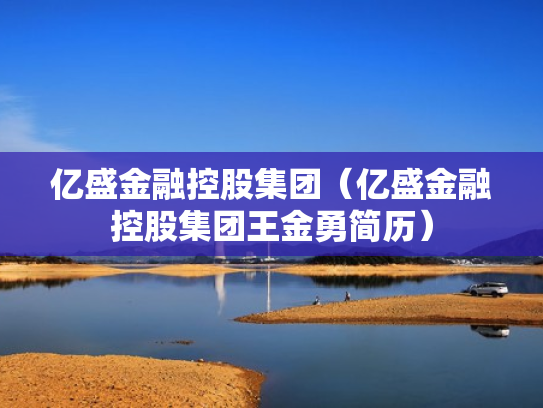 亿盛金融控股集团（亿盛金融控股集团王金勇简历）