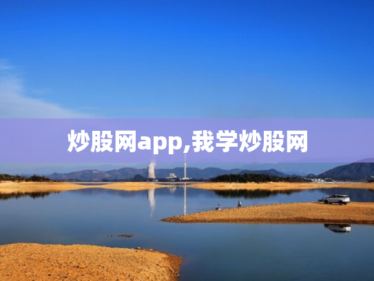 炒股网app,我学炒股网