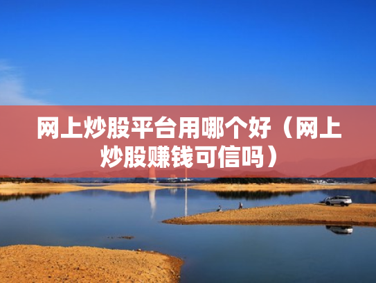 网上炒股平台用哪个好（网上炒股赚钱可信吗）
