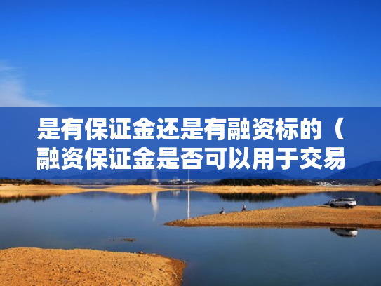 是有保证金还是有融资标的（融资保证金是否可以用于交易）
