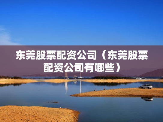 东莞股票配资公司（东莞股票配资公司有哪些）