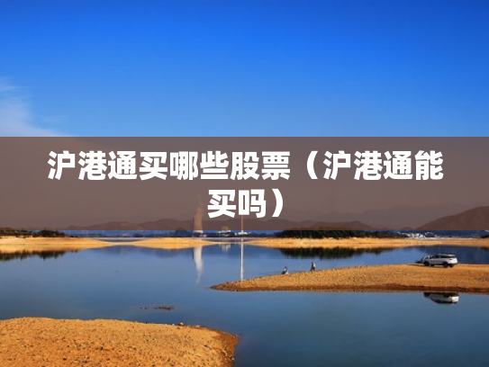 沪港通买哪些股票（沪港通能买吗）
