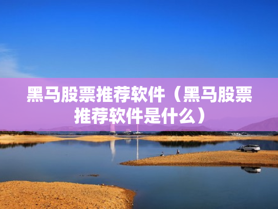 黑马股票推荐软件（黑马股票推荐软件是什么）