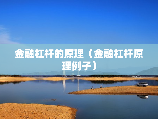 金融杠杆的原理（金融杠杆原理例子）