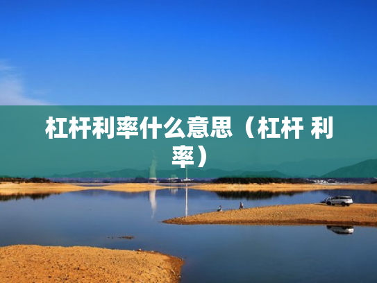杠杆利率什么意思（杠杆 利率）