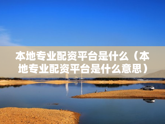 本地专业配资平台是什么（本地专业配资平台是什么意思）