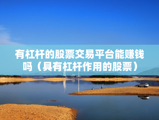 有杠杆的股票交易平台能赚钱吗（具有杠杆作用的股票）