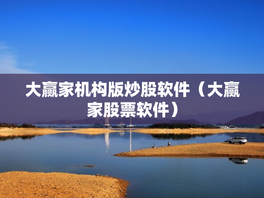 大赢家机构版炒股软件（大赢家股票软件）