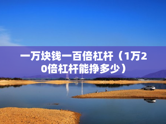 一万块钱一百倍杠杆（1万20倍杠杆能挣多少）