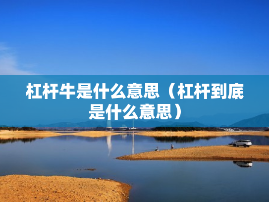 杠杆牛是什么意思（杠杆到底是什么意思）