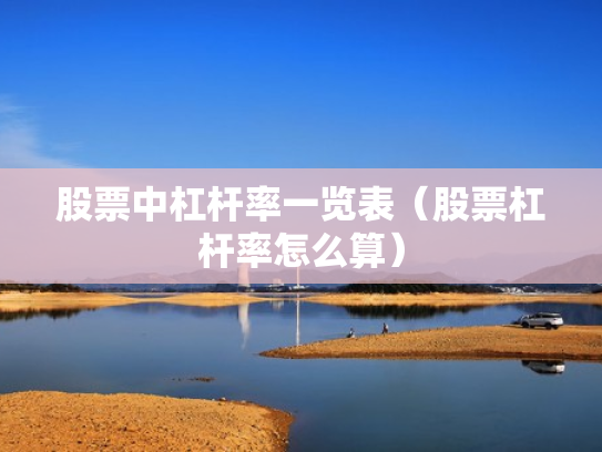 股票中杠杆率一览表（股票杠杆率怎么算）