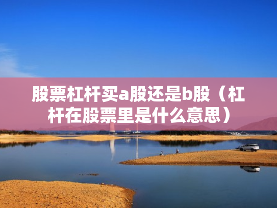 股票杠杆买a股还是b股（杠杆在股票里是什么意思）