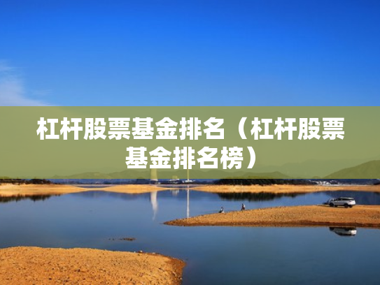 杠杆股票基金排名（杠杆股票基金排名榜）