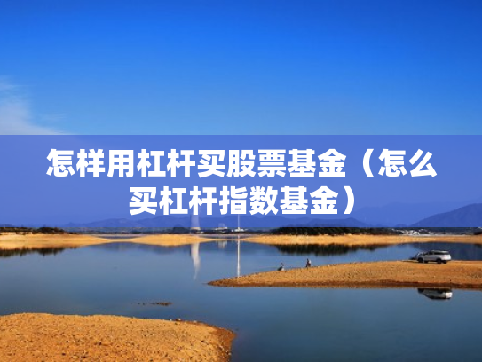 怎样用杠杆买股票基金（怎么买杠杆指数基金）