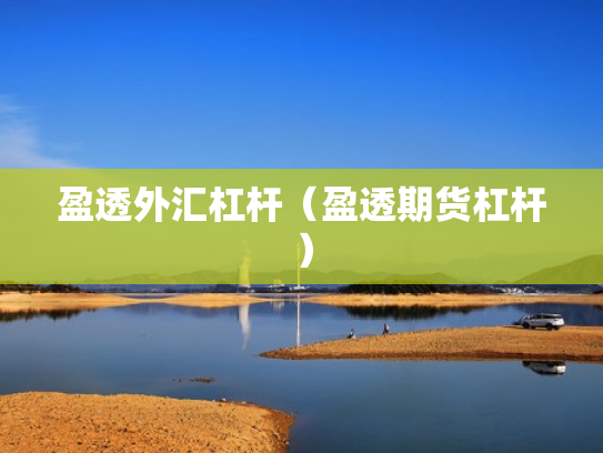 盈透外汇杠杆（盈透期货杠杆）