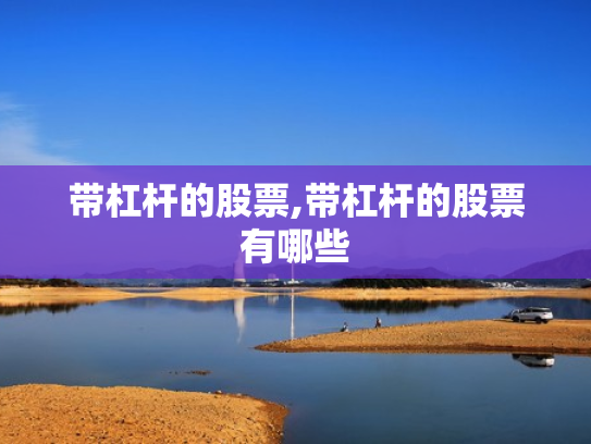 带杠杆的股票,带杠杆的股票有哪些