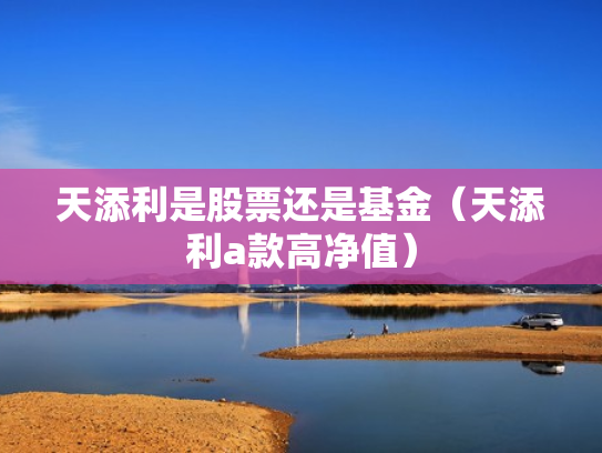 天添利是股票还是基金（天添利a款高净值）