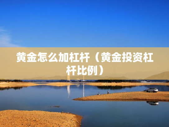 黄金怎么加杠杆（黄金投资杠杆比例）