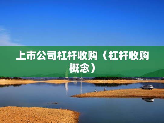 上市公司杠杆收购（杠杆收购概念）