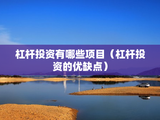杠杆投资有哪些项目（杠杆投资的优缺点）
