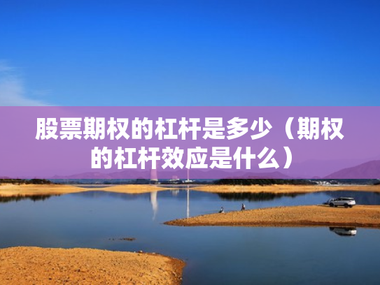股票期权的杠杆是多少（期权的杠杆效应是什么）