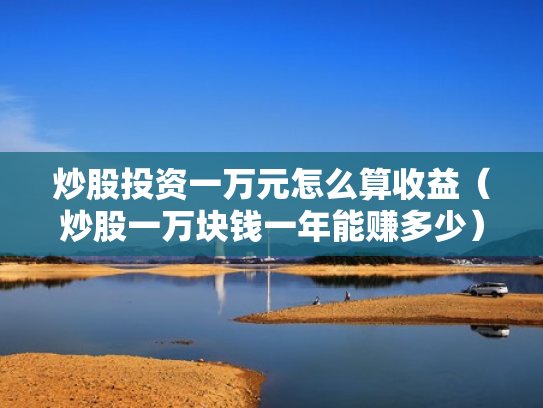 炒股投资一万元怎么算收益（炒股一万块钱一年能赚多少）