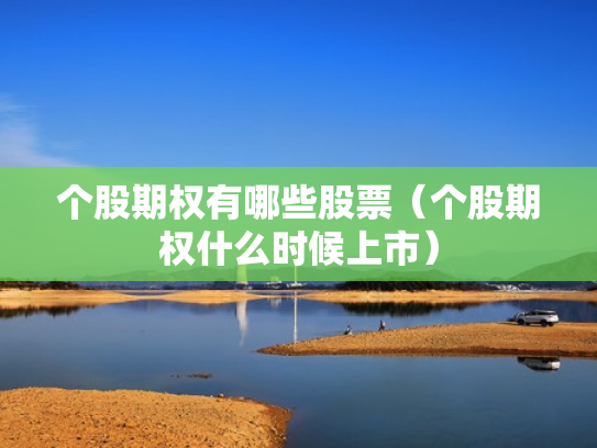 个股期权有哪些股票（个股期权什么时候上市）