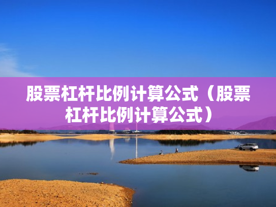 股票杠杆比例计算公式（股票杠杆比例计算公式）