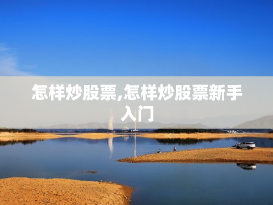 怎样炒股票,怎样炒股票新手入门