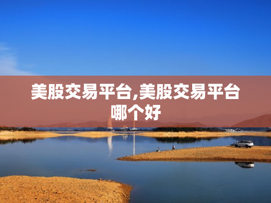 美股交易平台,美股交易平台哪个好