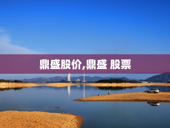鼎盛股价,鼎盛 股票