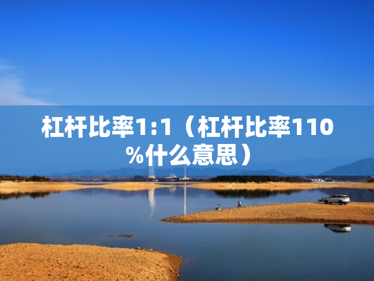 杠杆比率1:1（杠杆比率110%什么意思）