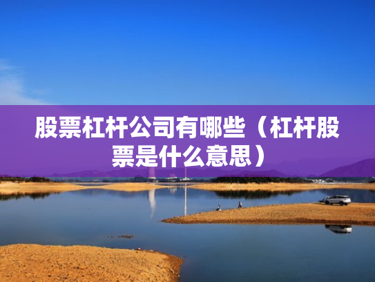 股票杠杆公司有哪些（杠杆股票是什么意思）