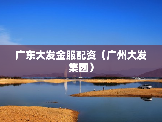 广东大发金服配资（广州大发集团）