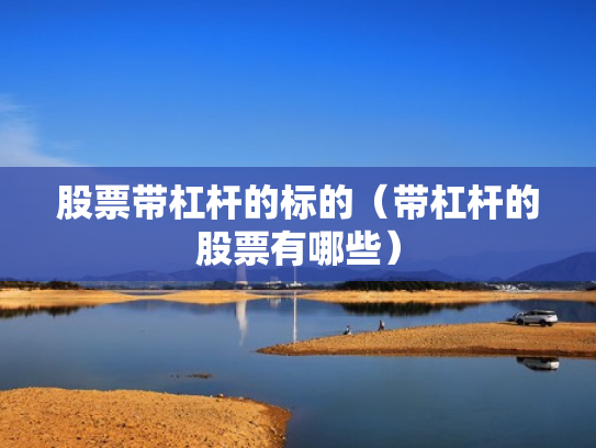 股票带杠杆的标的（带杠杆的股票有哪些）