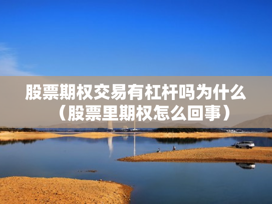 股票期权交易有杠杆吗为什么（股票里期权怎么回事）
