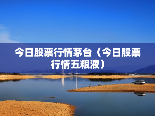 今日股票行情茅台（今日股票行情五粮液）