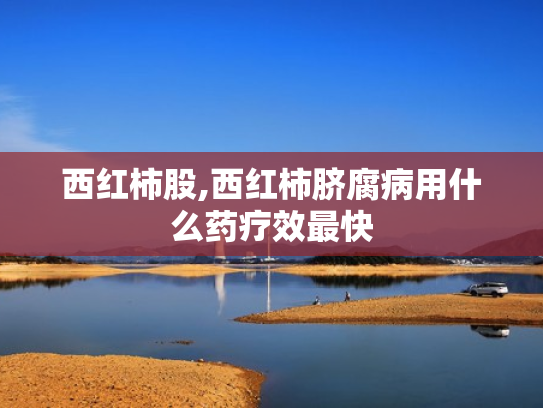 西红柿股,西红柿脐腐病用什么药疗效最快