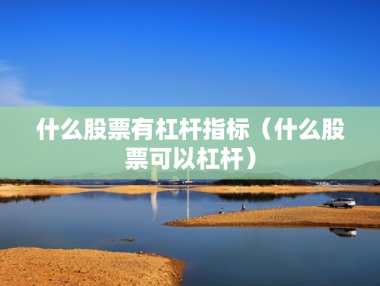 什么股票有杠杆指标（什么股票可以杠杆）